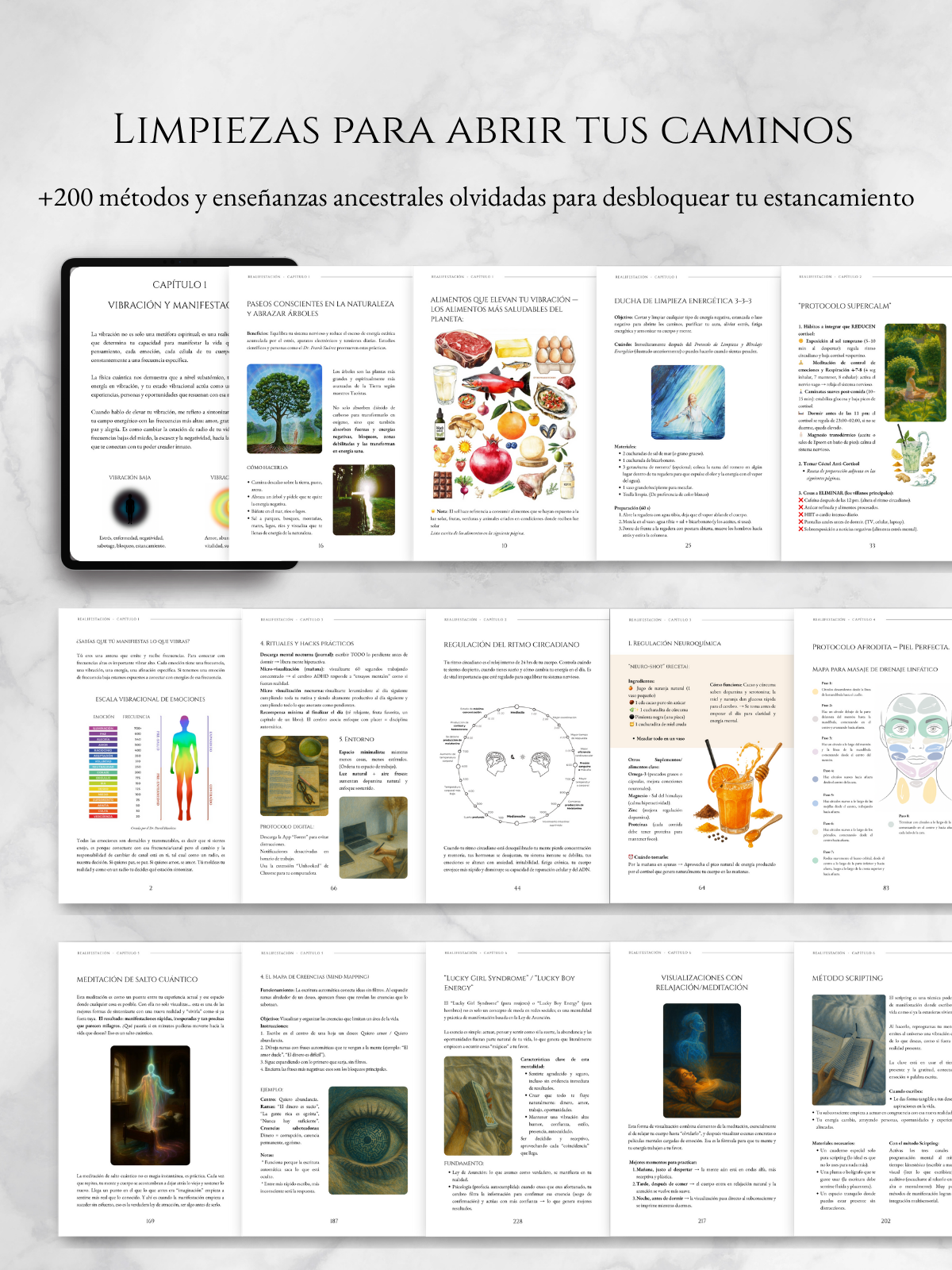 Realifestación Libro version digital