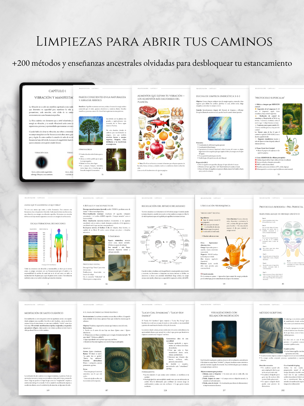 Realifestación Libro version digital